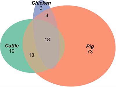 Antimicrobial Resistance Diversity Suggestive of Distinct Salmonella Typhimurium Sources or Selective Pressures in Food-Production Animals
